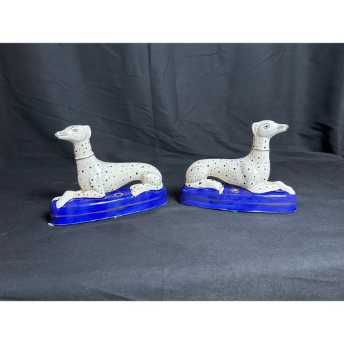 Staffordshire greyhound - staffordshire,